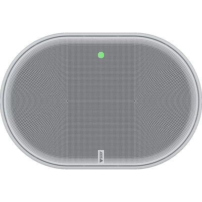 axis C1110-E indoor network cabinet speaker 1